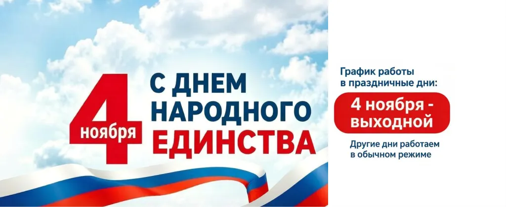 4 ноября моб